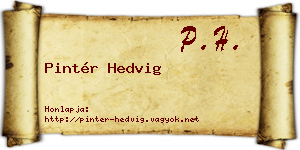 Pintér Hedvig névjegykártya